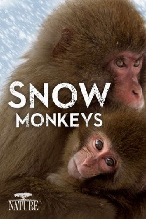 Постер Wild Japan: Snow Monkeys
